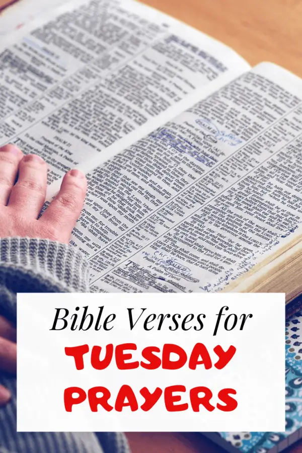 Prayer Bible verses for Tuesday prayers