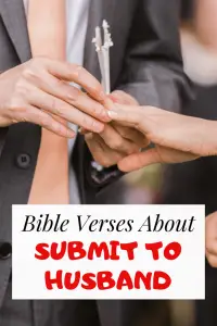 Bible Verses about wives submit to Husbands (Respect & Obey them)