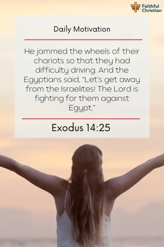 Bible verses on God Fighting Battles (EVIL) Important Scriptures 