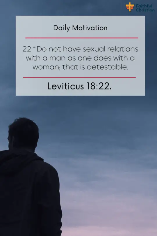 Bible Verses about Man Shall Not Lay With Man [NIV SCRIPTURES] (16)
